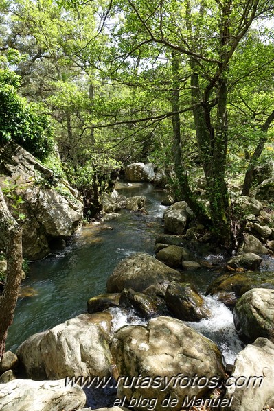 El Bujeo - Pista de la Algamasilla - Puerto de la Higuera - Río Guadalmesí