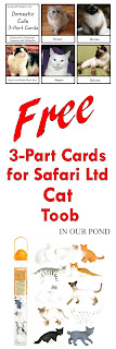 FREE 3-Part Cards for Safari Ltd Cat Toob from In Our Pond