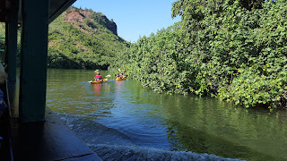 View from a boat on the Wailua River