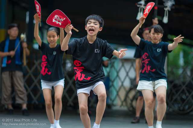 阿波踊り連たまき 小金井プレ阿波おどり 2015