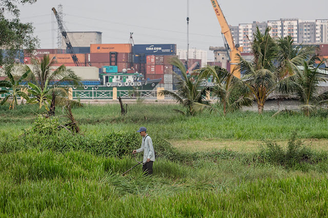 làm sao biết đất có quy hoạch hay không