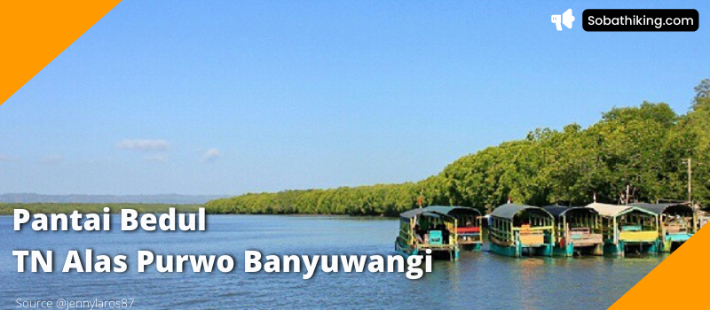 Mangrove Bedul Ecotourism atau Pantai Bedul merupakan destinasi wisata di TN Alas Purwo Banyuwangi yang terkenal berkat kelestarian alam yang masih...