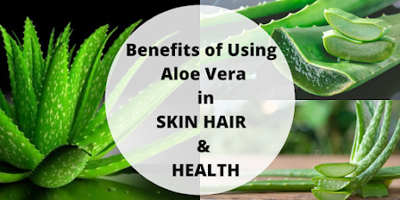Benefits of Aloe Vera | Aloe Vera Uses | Aloe Vera Juice Benefits | Benefits of Aloe Vera Skin Hair and Health
