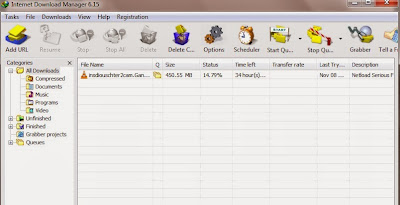 gambar internet download manager