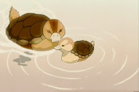 Turtle Duck