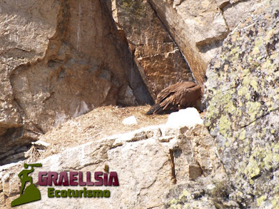 Campamento de verano en la Naturaleza