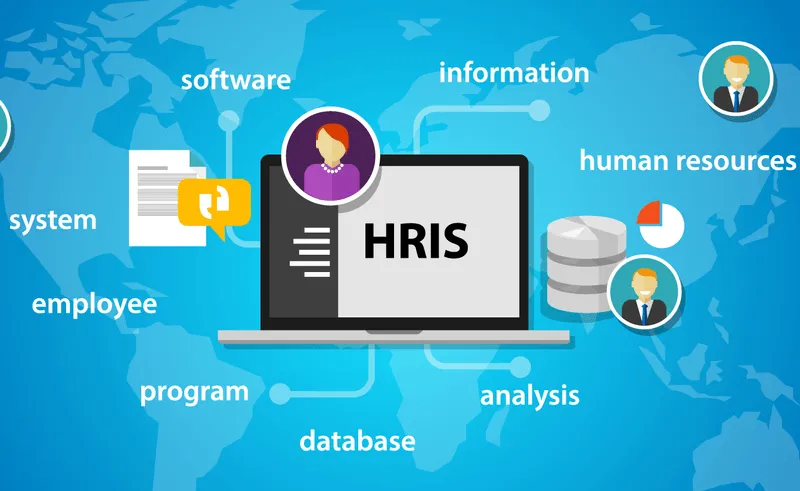 Understanding HRIS and its Important Role in the Company