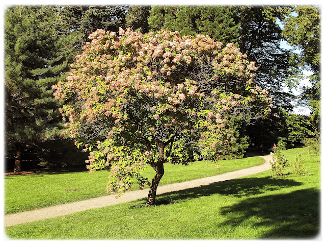 Like ved Tøyen hovedgård i Botanisk hage.