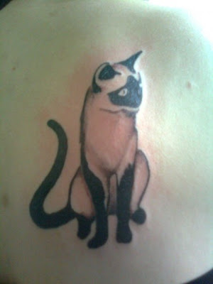 tattoo gato