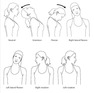 exercises for neck and shoulder pain