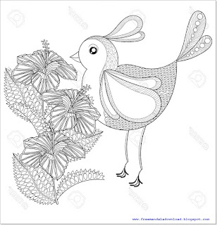 Vector - Coloring page with Bird