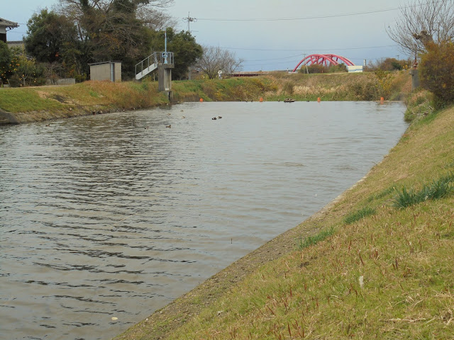 野本川