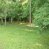 View album