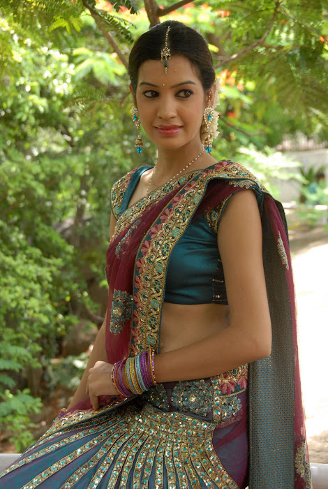 diksha panth new saree , diksha saree hot images