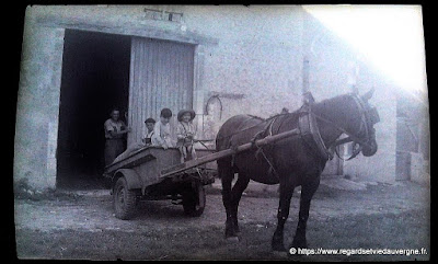 Photo ancienne noir et blanc cheval