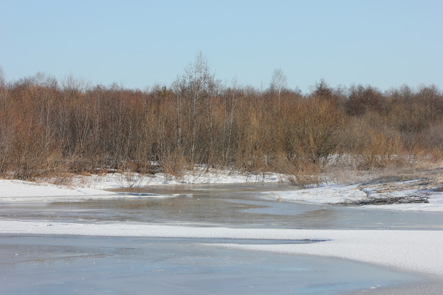 весна на реке