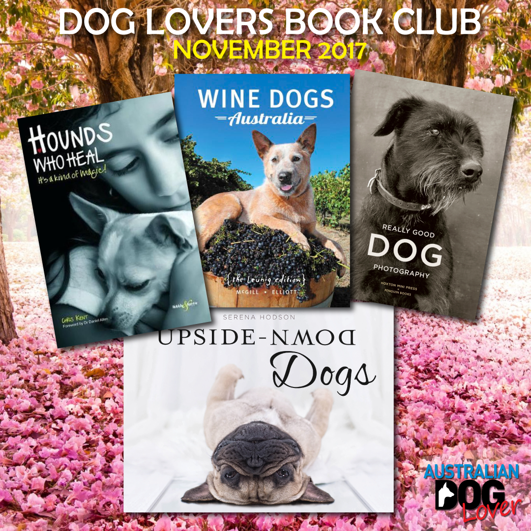 Dog Lovers Book Club November 2017