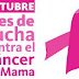 DIFEM se suma a la IV caminata estatal de prevención del cáncer en la mujer