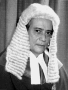 Image result for sir george souyave