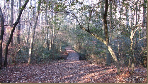 Weymouth Woods_009