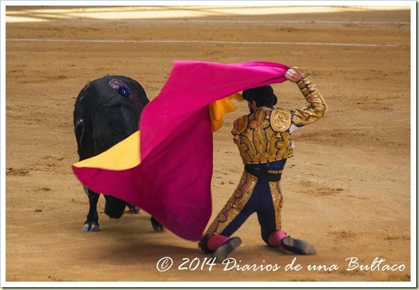 Toros 2014 (1)-4