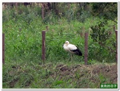20120108_141203_040_Kuantu