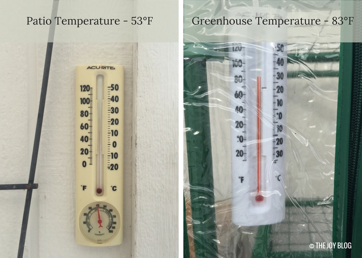Temperature Readings of Greenhouse in Test 1 | The Ongoing Mini Greenhouse Experiment // WWW.THEJOYBLOG.NET