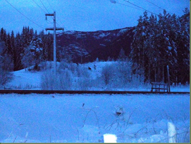 elg2011 005