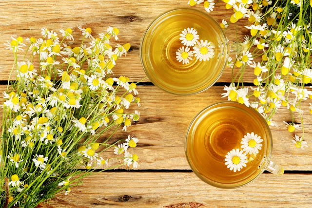 कैमोमाइल चाय के लाभ Benefits of Chamomile Tea