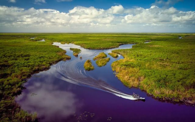 Everglades National Park - Florida's Unique Wildlife Paradise