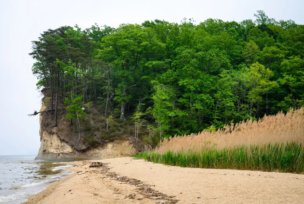 Virginia Beaches