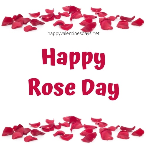 rose day images 2024