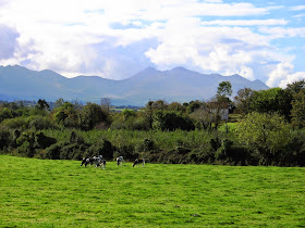 Field north of Killarney in County Kerry Ireland