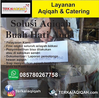 Aqiqah Murah di Bekasi Selatan,