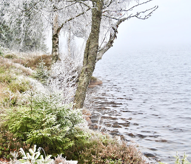 Frosty lake