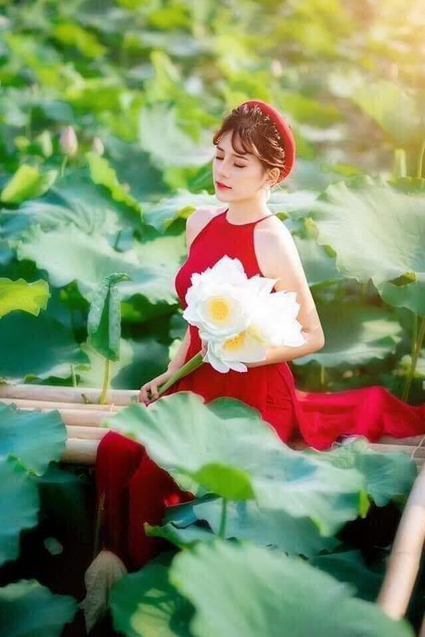 Thiếu nữ ngồi áo dài đỏ, hoa sen
