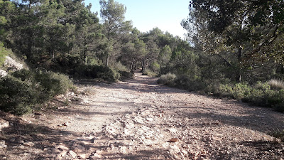 LA COGULLA - EL TOSSAL GROS Figuerola del Camp -(Alt Camp) -  Montblanc - (Conca de Barberà); GR-7.8 o Camí de Miramar en direcció al poble de Miramar