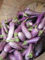 red hook brooklyn local grown eggplant