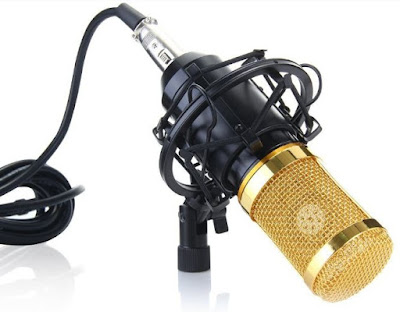 High Performance Condenser Microphone (BM800)