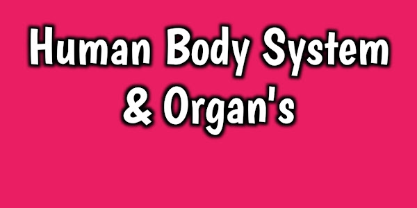 Human Body System & Organ's