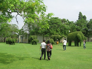 Elephant bushes beautiful landscape arhitecture