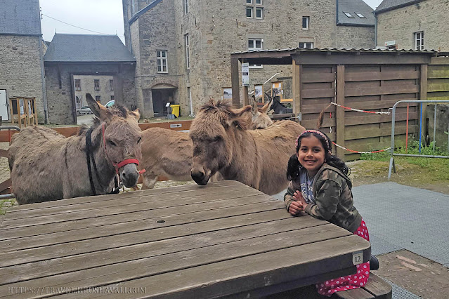 Etats d'Ânes | Donkey Cafe in Belgium | Kids activities in Wallonia Belgium |