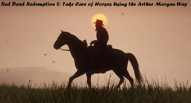 Red Dead Redemption 2: Take Care of Horses Using the Arthur Morgan Way