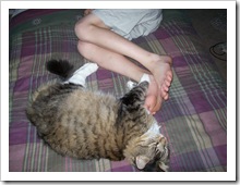 Max sleeping with  Dalton in the middle of the night