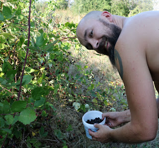 Out harvesting more blackberries (and getting scratched to bits)