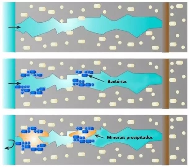 Mecanismo de auto-regeneração em concreto bacteriano bioconcreto