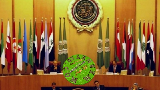خرجات عمر بلاني سبب فشل القمة العربية بالجزائر