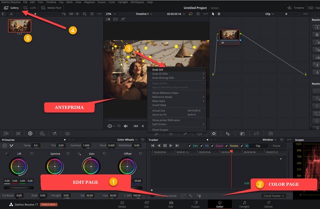 frizzare video con davinci resolve