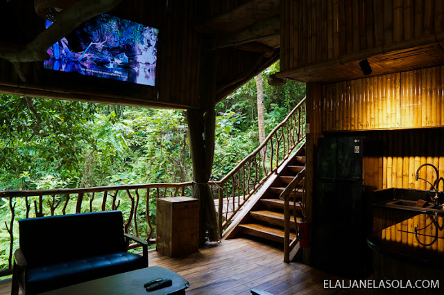 Cebu | Treehouse de Valentine, Balamban