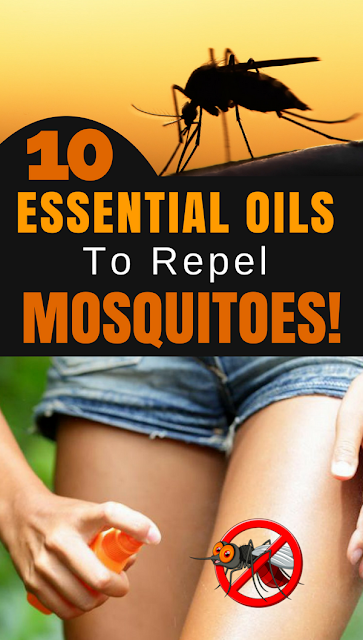10 Essential Oil to Use Repel Mosquitoes